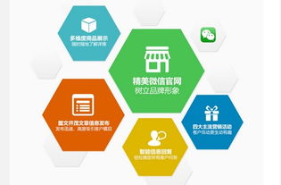 圈圈網絡公司微伙伴產品招商正火爆進行中